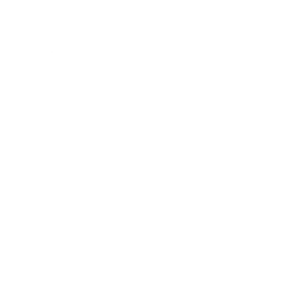 bandera