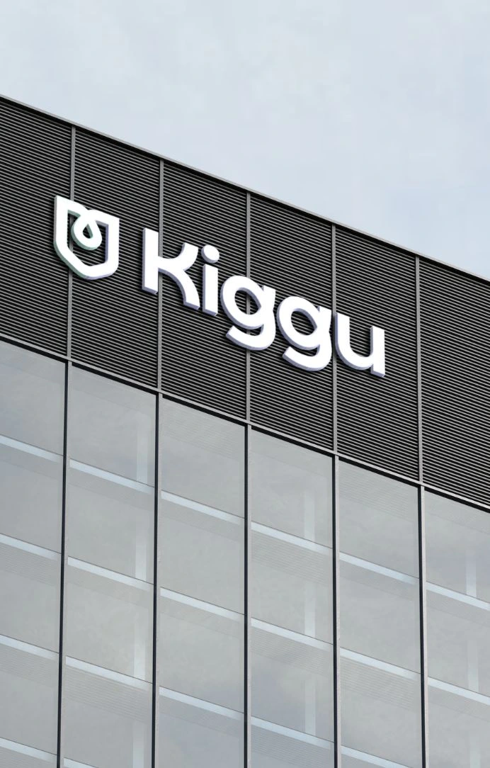 Kiggu proyecto